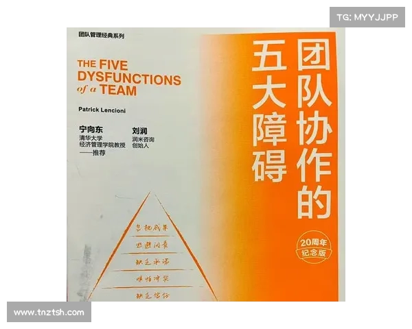 霍伊伦心里阴影面积的深度剖析与反思对他未来的影响