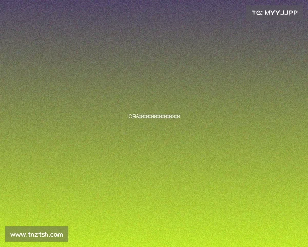 CBA封盖王的崛起与防守战术的深度分析